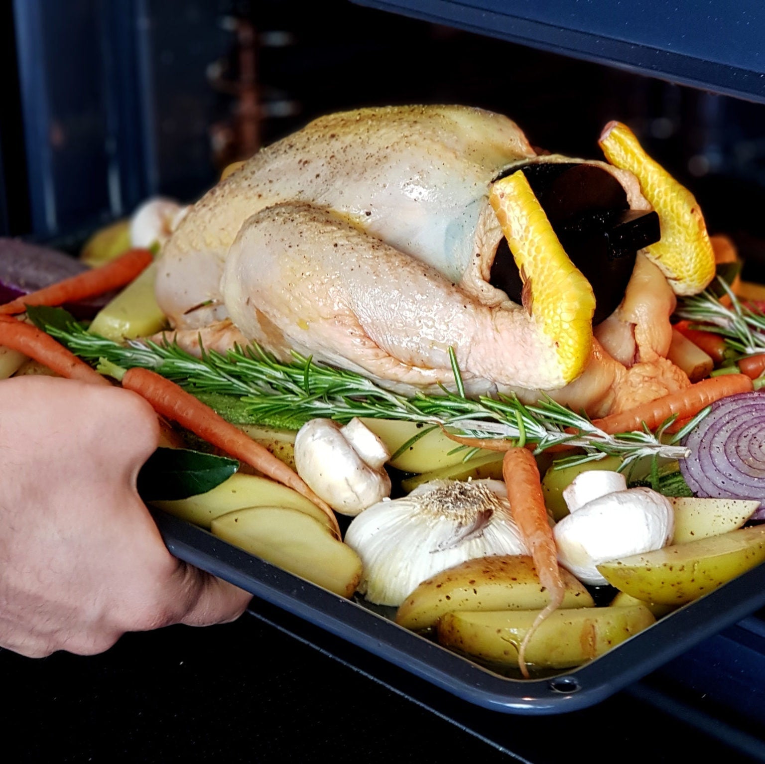 Infuseur à poulet - Carré Lumière